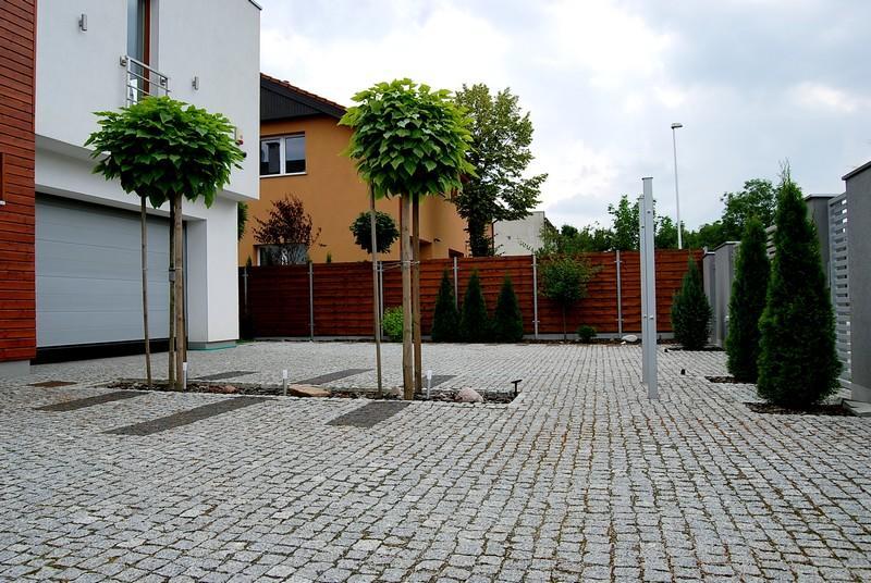 Apartment Magnolia Centrum - Free Parking Wroclaw